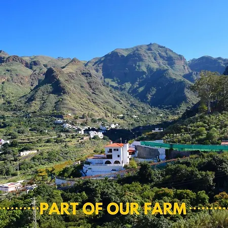 Casa Camino Tamadaba * Agaete (Gran Canaria)