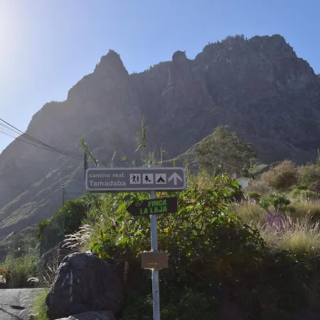 Casa Camino Tamadaba