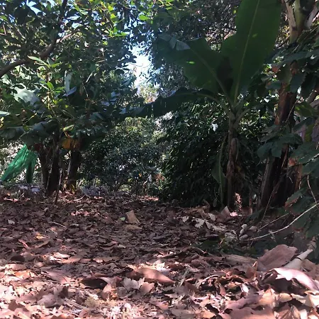 Casa Camino Tamadaba *